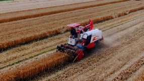 財(cái)富管理之養(yǎng)老規(guī)劃：留足過冬的糧食